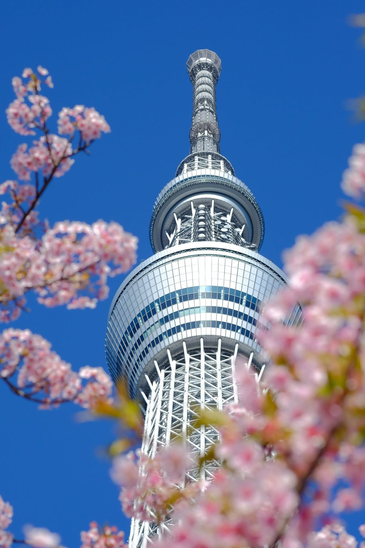 JAPAN ADVENTURE